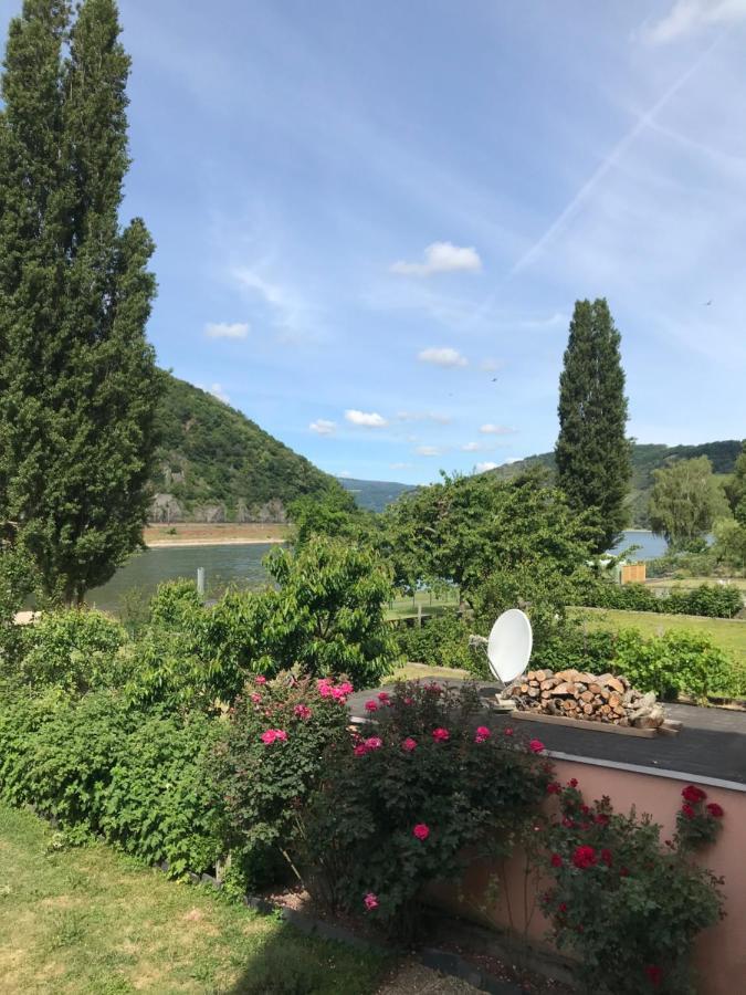 Rheinblickzimmer Санкт-Гоарсгаузен Екстер'єр фото